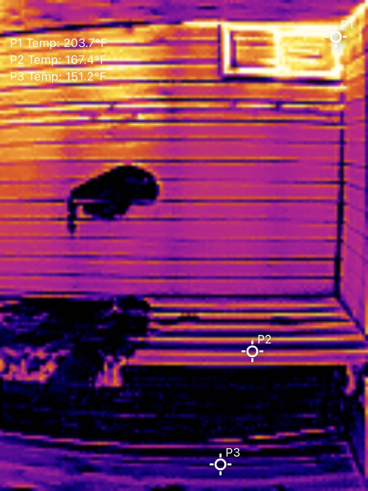 Infrared picture of sauna